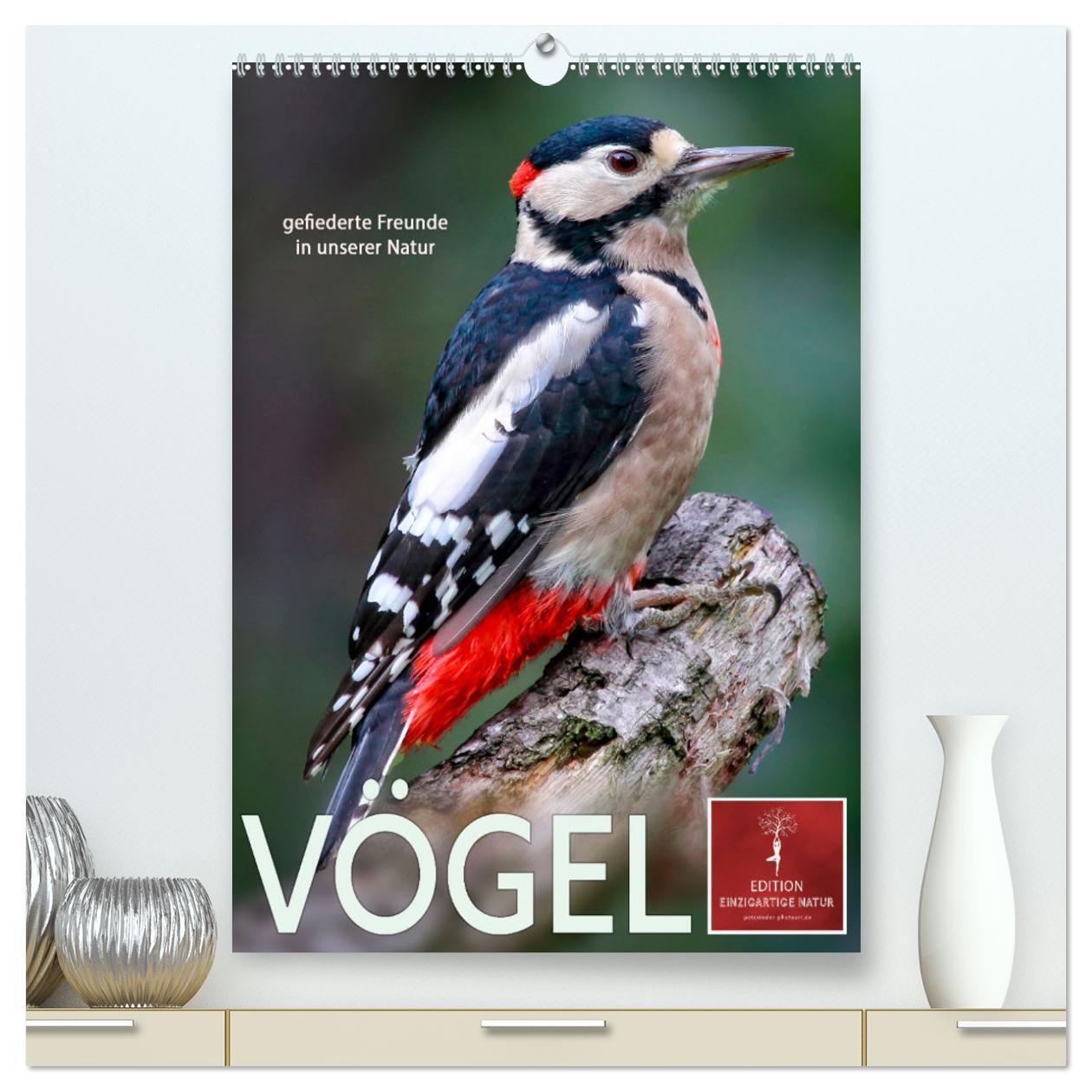 Cover: 9783675628540 | Vögel - gefiederte Freunde in unserer Natur (hochwertiger Premium...