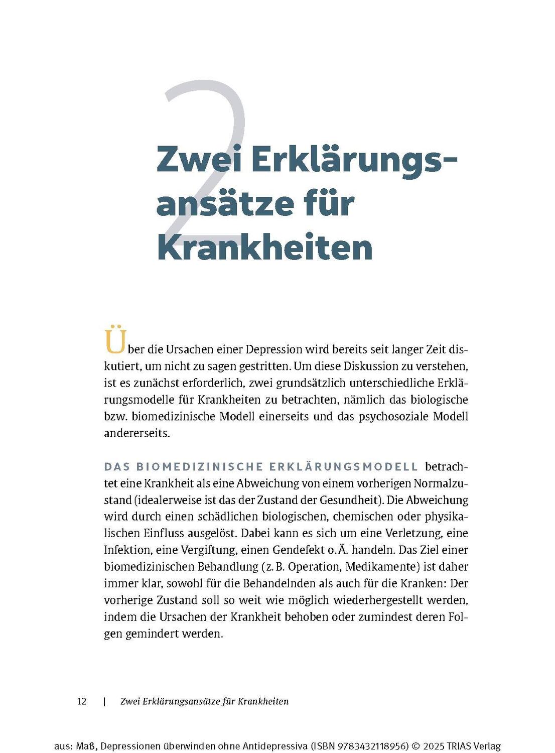 Bild: 9783432118956 | Depressionen überwinden ohne Antidepressiva | Reinhard Maß | Buch