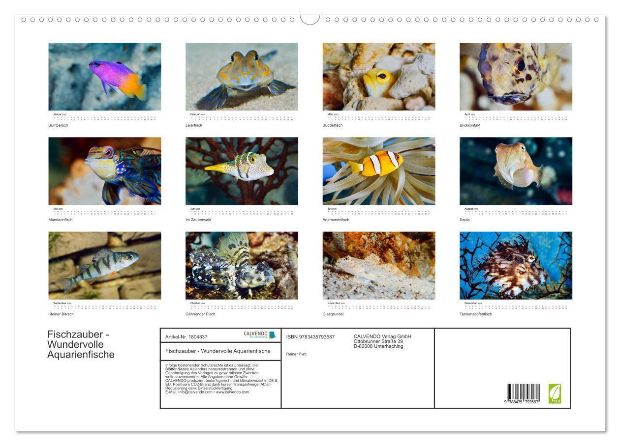 Bild: 9783435793587 | Fischzauber - Wundervolle Aquarienfische (Wandkalender 2025 DIN A2...