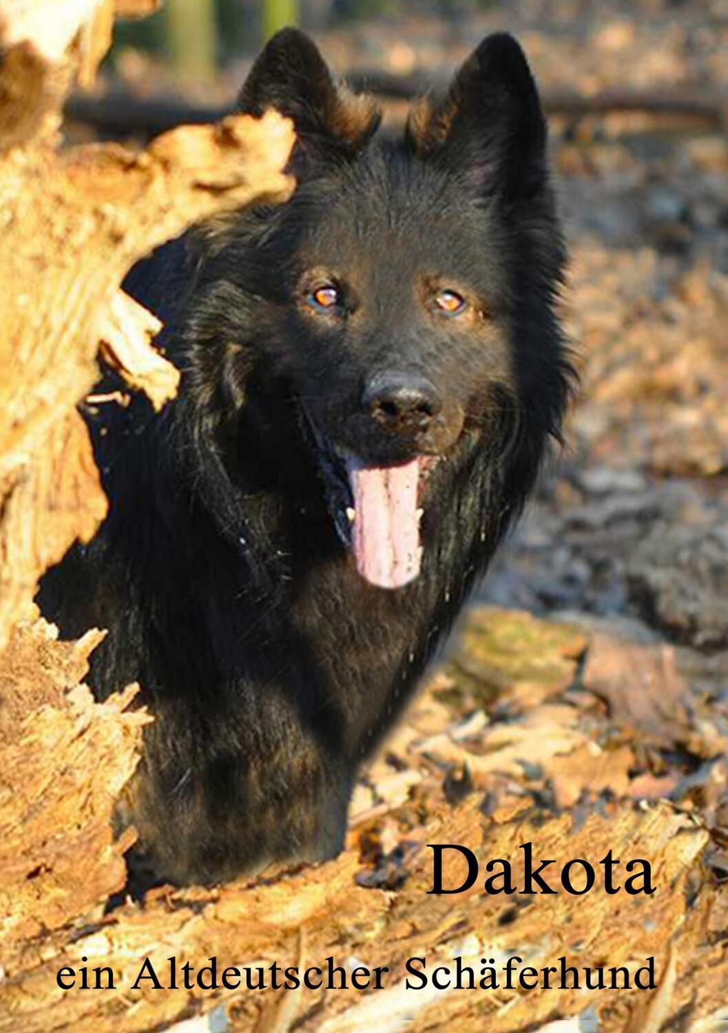 Cover: 9783734523779 | Dakota | ein altdeutscher Schäferhund | Karin Adamczyk | Taschenbuch
