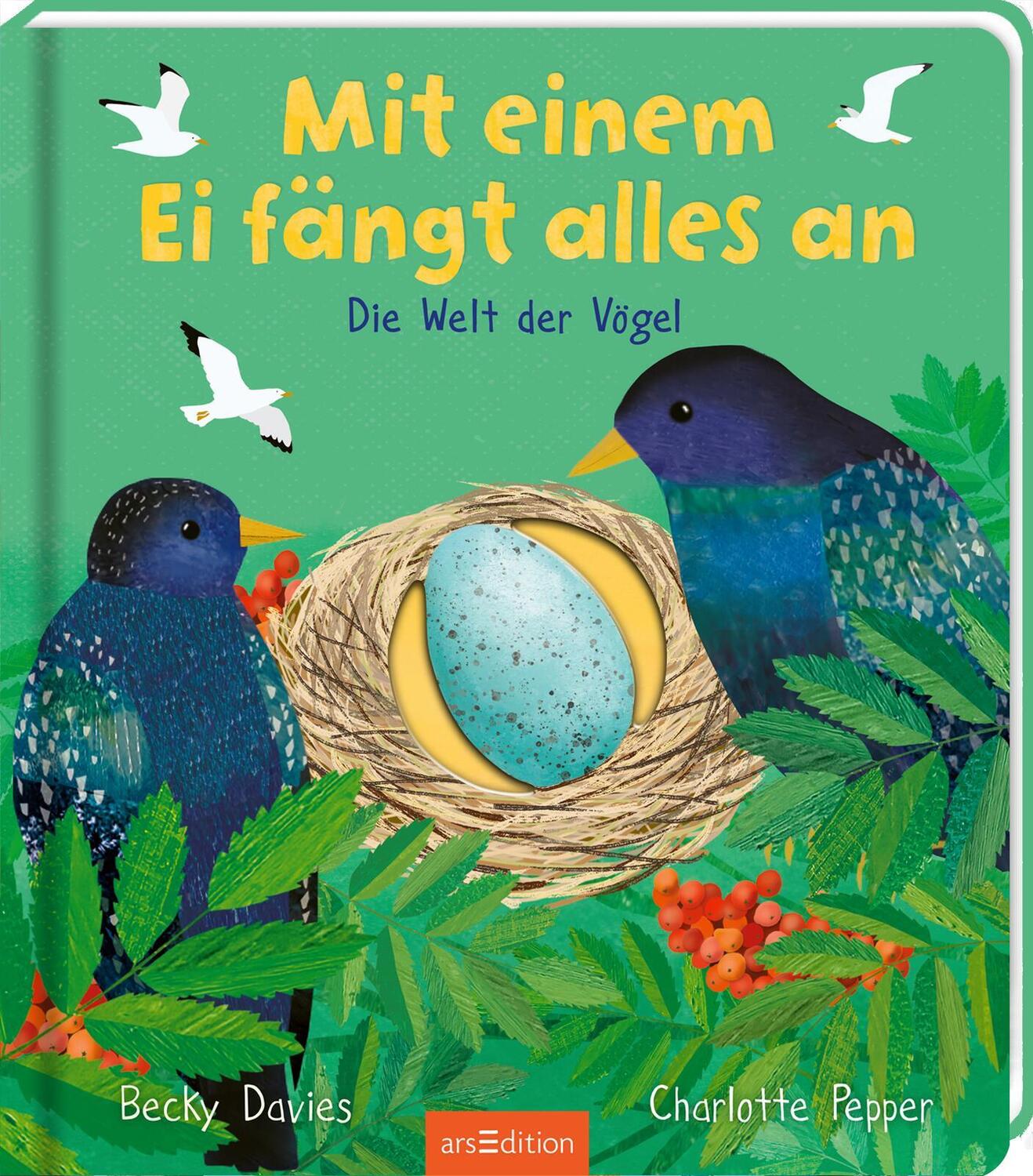 Cover: 9783845852218 | Mit einem Ei fängt alles an | Die Welt der Vögel | Becky Davies | Buch