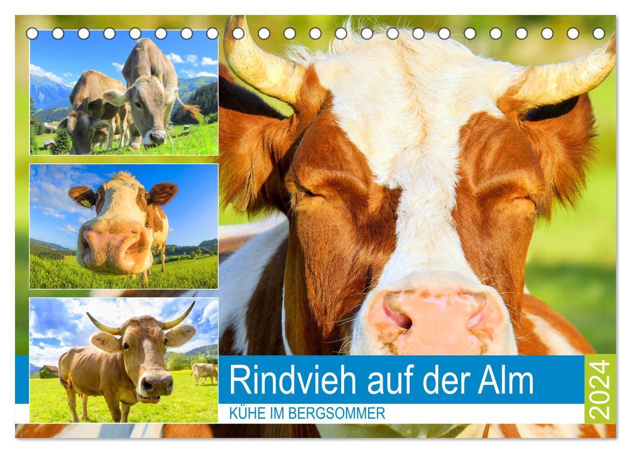 Cover: 9783383001215 | Rindvieh auf der Alm. Kühe im Bergsommer (Tischkalender 2024 DIN A5...