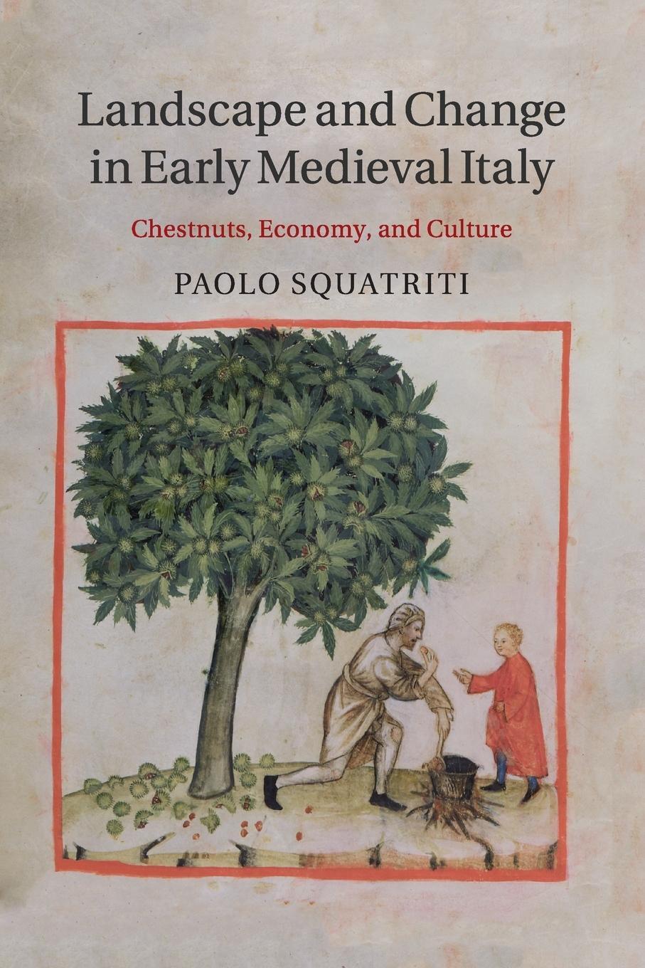 Cover: 9781316633205 | Landscape and Change in Early Medieval Italy | Paolo Squatriti | Buch