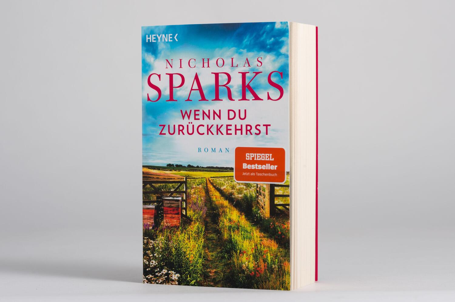Bild: 9783453425613 | Wenn du zurückkehrst | Roman | Nicholas Sparks | Taschenbuch | 464 S.