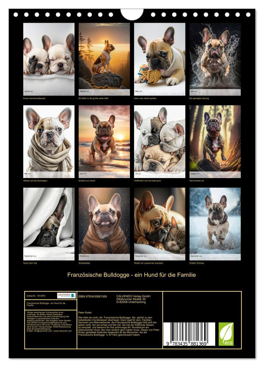 Bild: 9783435881369 | Französische Bulldogge - ein Hund für die Familie (Wandkalender...