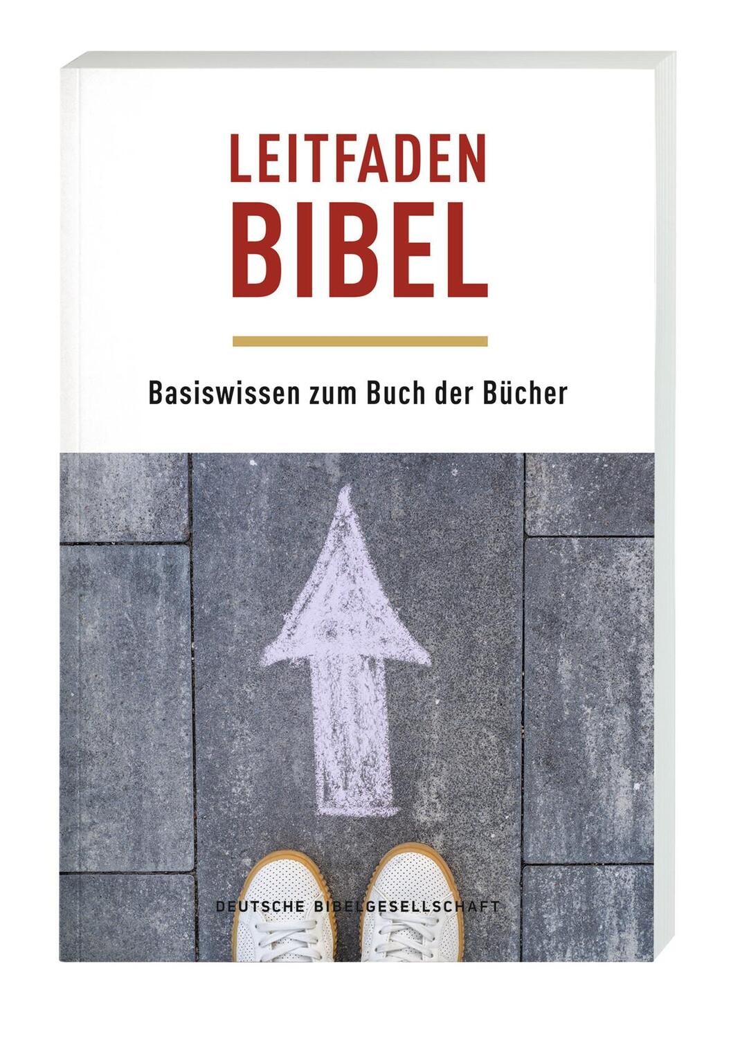 Cover: 9783438060983 | Leitfaden Bibel | Basiswissen zum Buch der Bücher | Taschenbuch | 2020