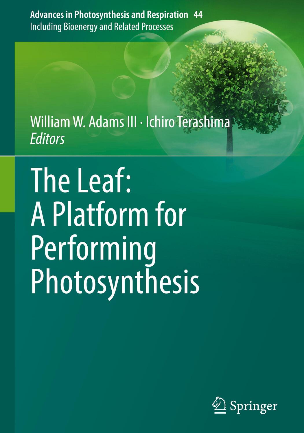 Cover: 9783319935928 | The Leaf: A Platform for Performing Photosynthesis | Terashima (u. a.)
