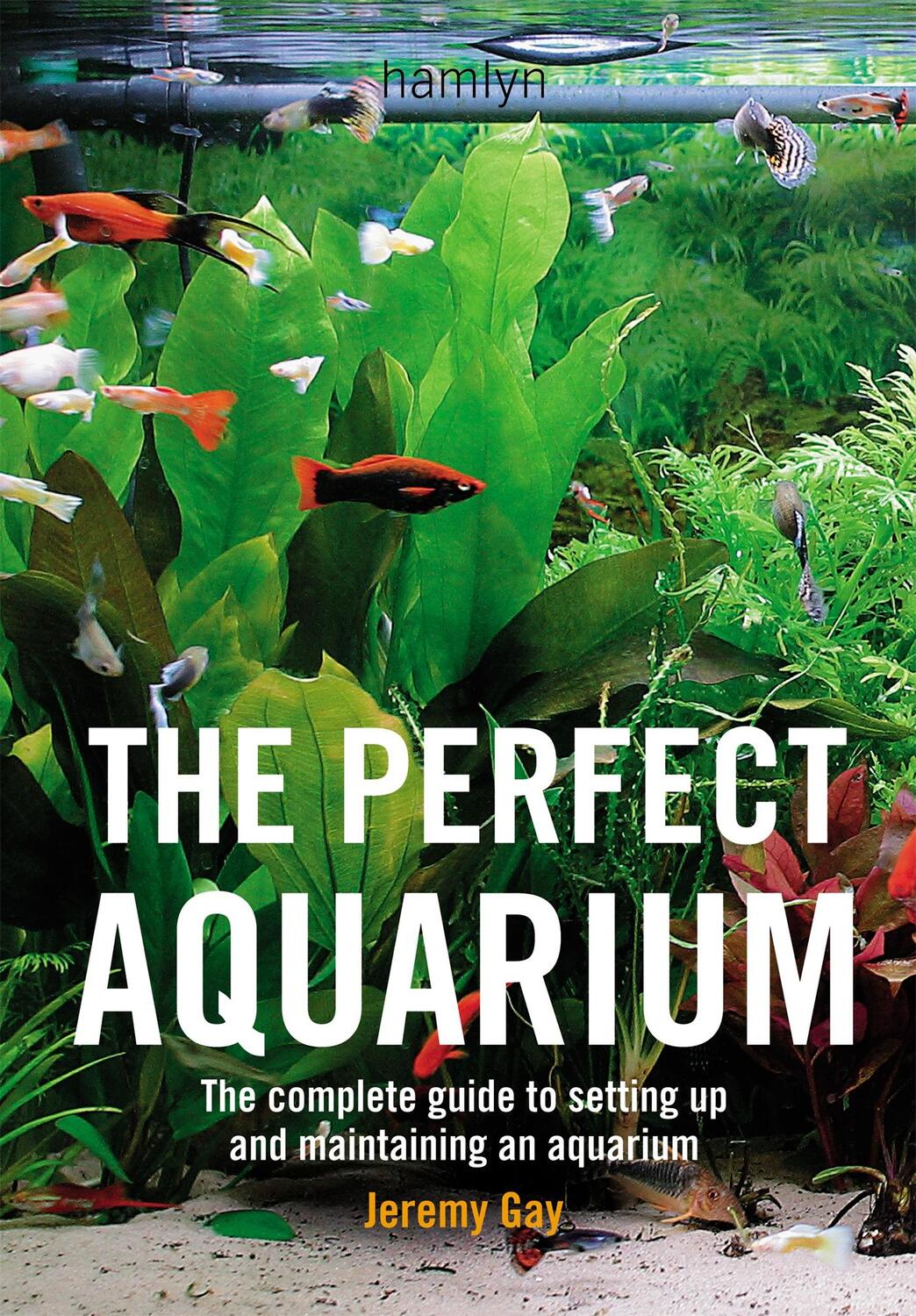 Cover: 9780600612162 | The Perfect Aquarium | Jeremy Gay | Taschenbuch | Englisch | 2005