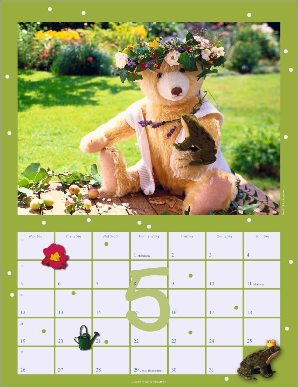 Bild: 9783839900512 | Teddybären Kalender 2025 | Kalender | Spiralbindung | 14 S. | Deutsch