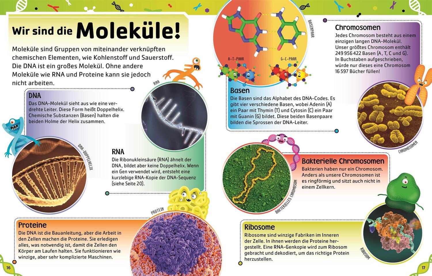 Bild: 9783831040438 | Superschlaue Gene | Alison Woollard (u. a.) | Buch | 72 S. | Deutsch