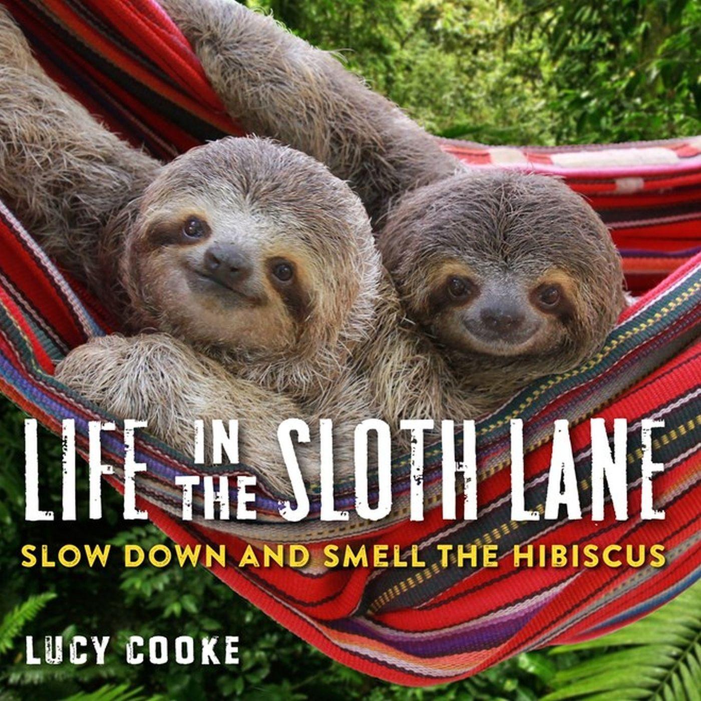 Cover: 9780761193227 | Life in the Sloth Lane | Slow Down and Smell the Hibiscus | Lucy Cooke
