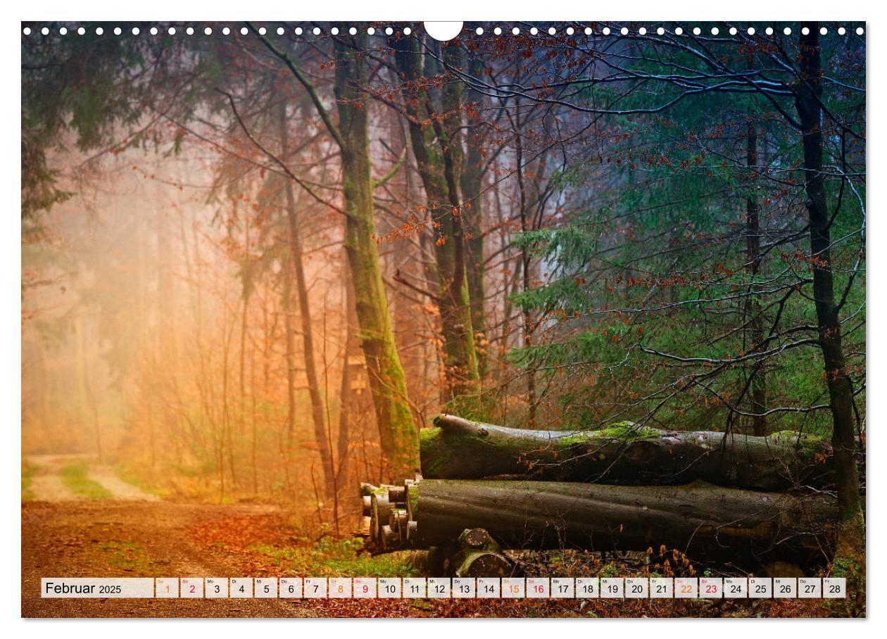 Bild: 9783435071623 | Wald - mystische Spaziergänge (Wandkalender 2025 DIN A3 quer),...