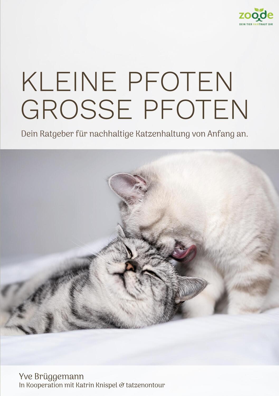 Cover: 9783756890637 | Kleine Pfoten, Große Pfoten | Yve Brüggemann | Taschenbuch | Paperback