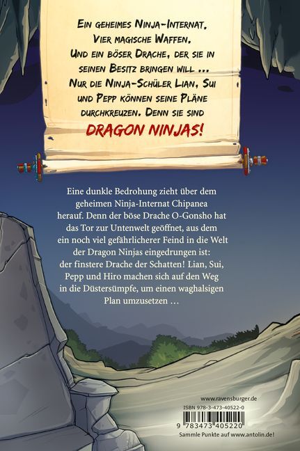 Bild: 9783473405220 | Dragon Ninjas, Band 5: Der Drache der Schatten Drachenstarkes...