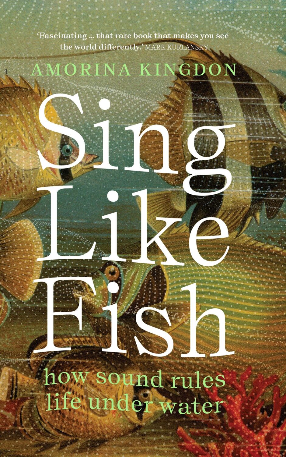 Cover: 9781914484322 | Sing Like Fish | how sound rules life under water | Amorina Kingdon