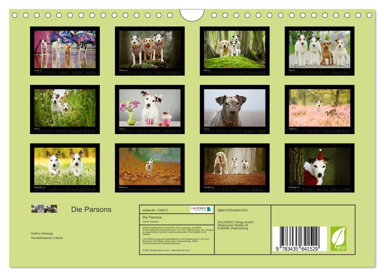 Bild: 9783435641529 | Die Parsons (Wandkalender 2025 DIN A4 quer), CALVENDO Monatskalender