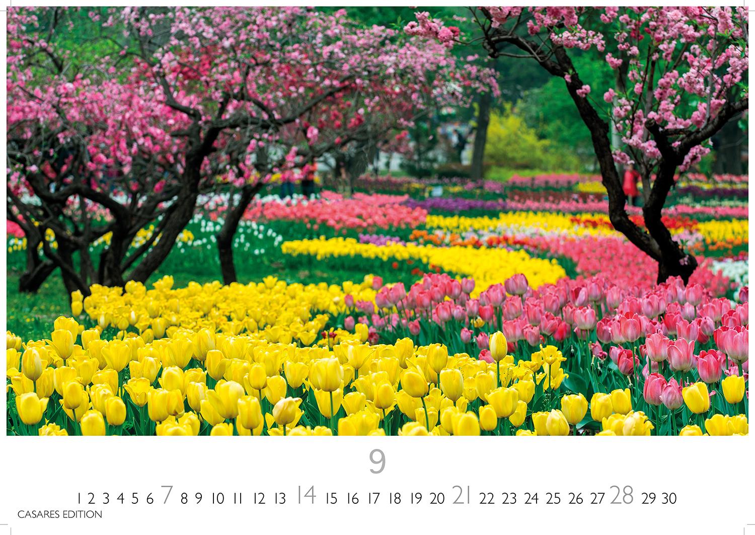 Bild: 9781835242254 | Gartenparadiese 2025 S 24x35cm | Kalender | 14 S. | Deutsch | 2025