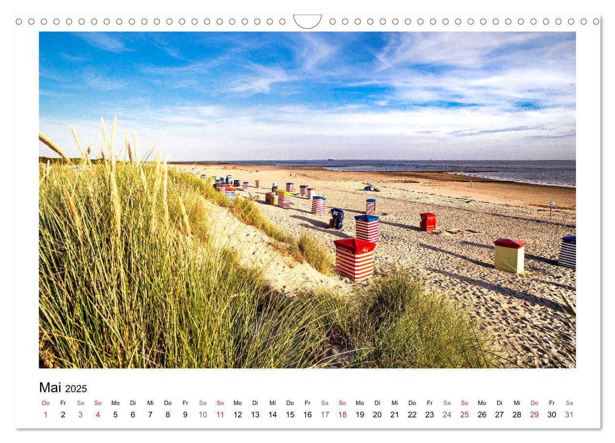 Bild: 9783435494767 | OSTFRIESLAND Strand und Mee(h)r (Wandkalender 2025 DIN A3 quer),...