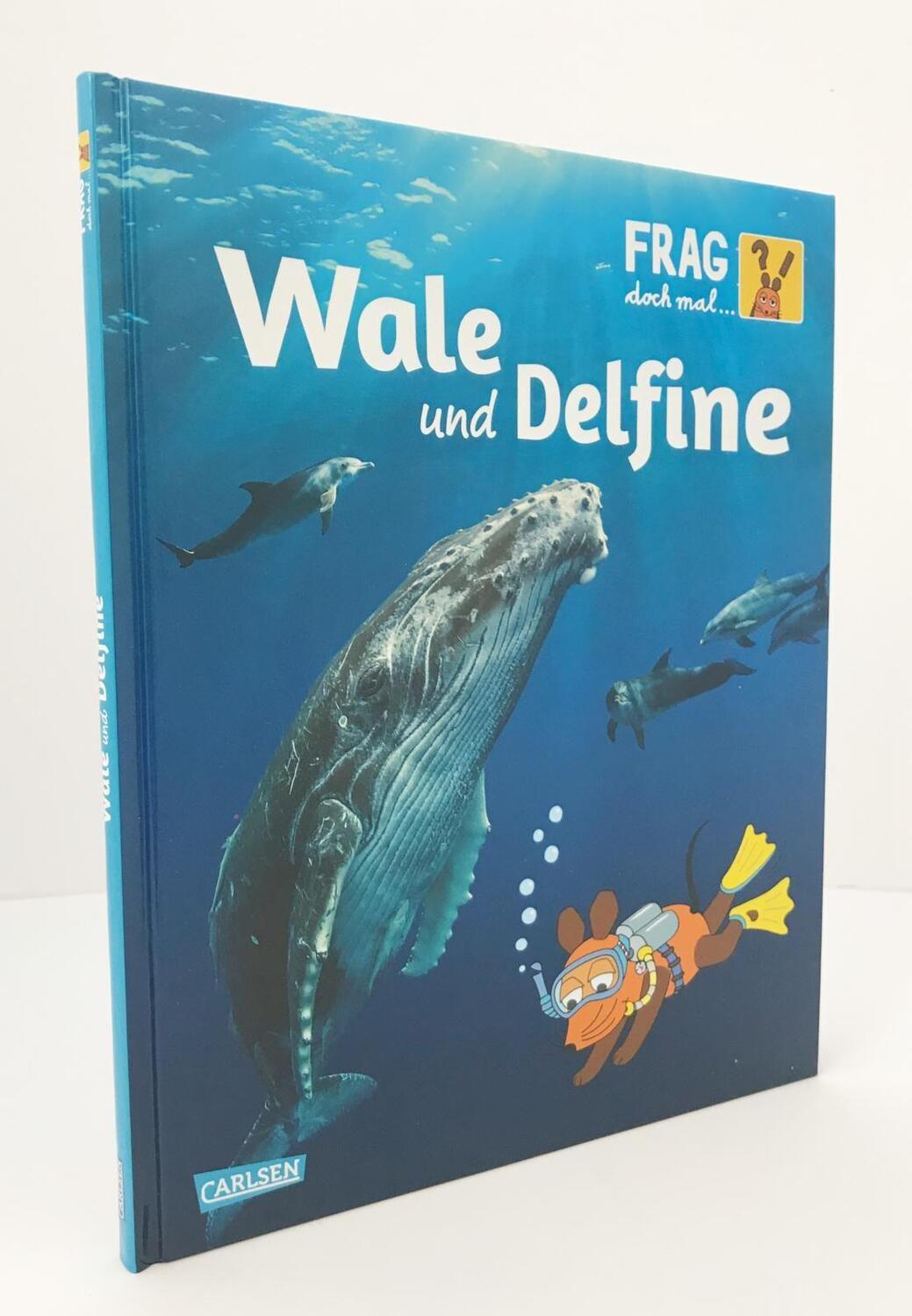Bild: 9783551252494 | Frag doch mal ... die Maus!: Wale und Delfine | Sylvia Englert | Buch