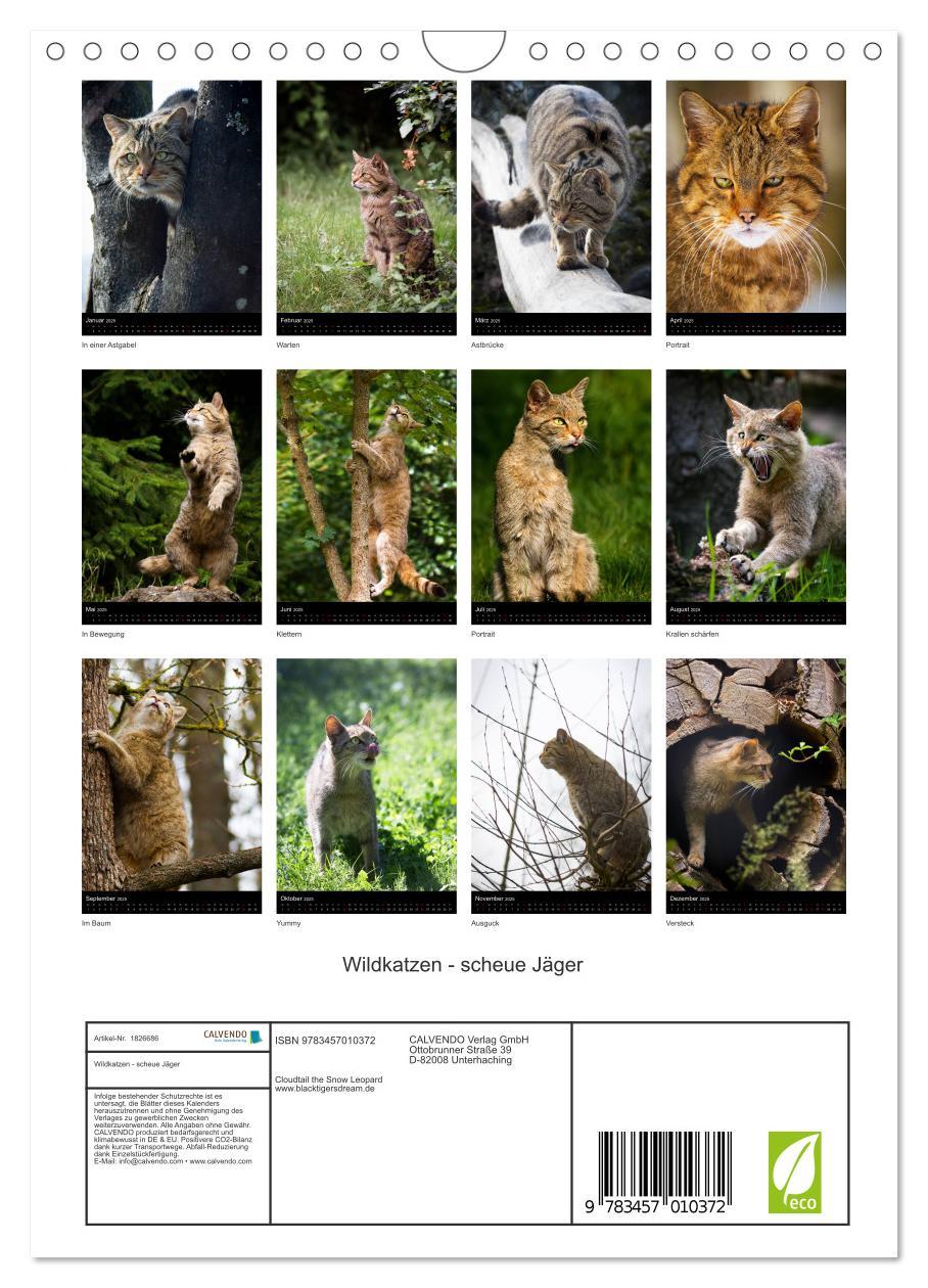 Bild: 9783457010372 | Wildkatzen - scheue Jäger (Wandkalender 2025 DIN A4 hoch), CALVENDO...