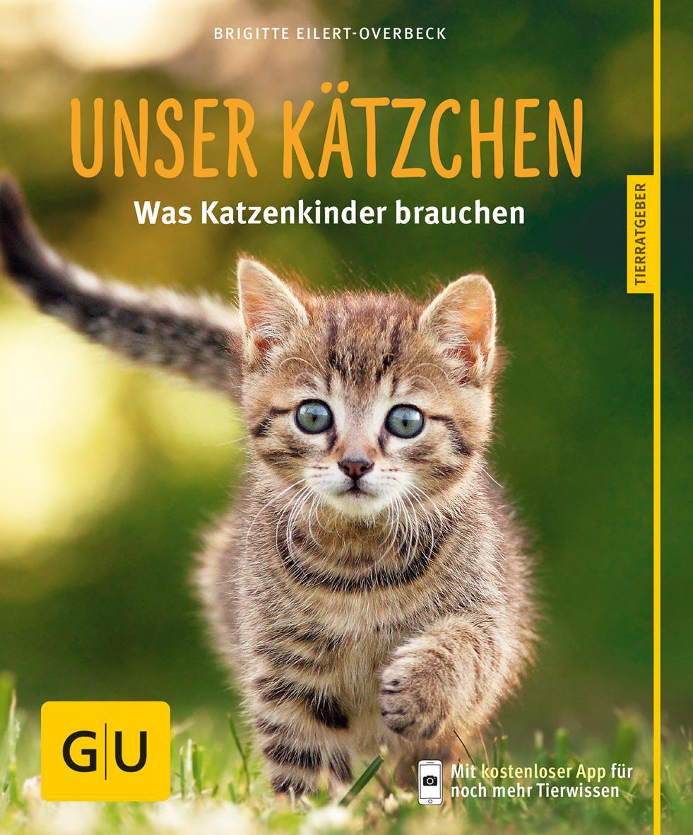 Cover: 9783833841477 | Unser Kätzchen | Was Katzenkinder brauchen | Brigitte Eilert-Overbeck