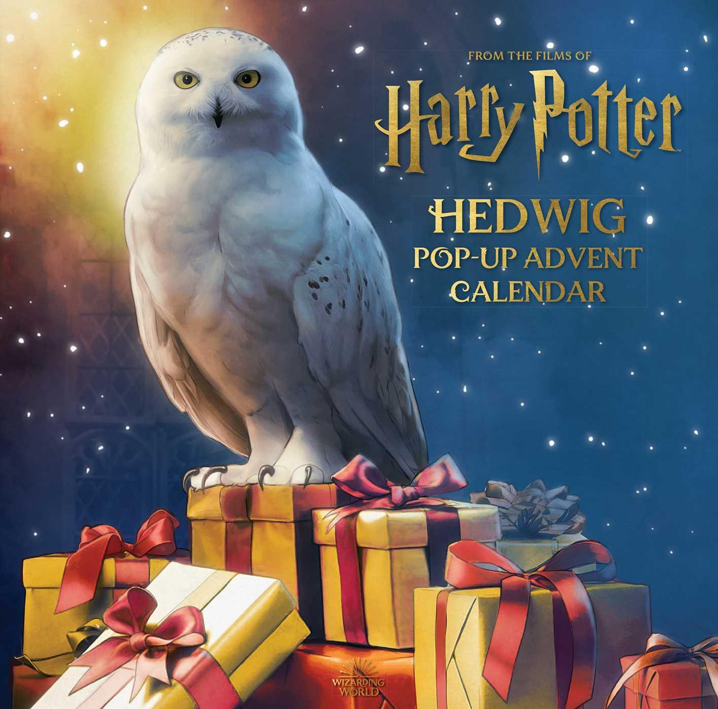 Cover: 9781647227609 | Harry Potter: Hedwig Pop-Up Advent Calendar | Matthew Reinhart | Buch