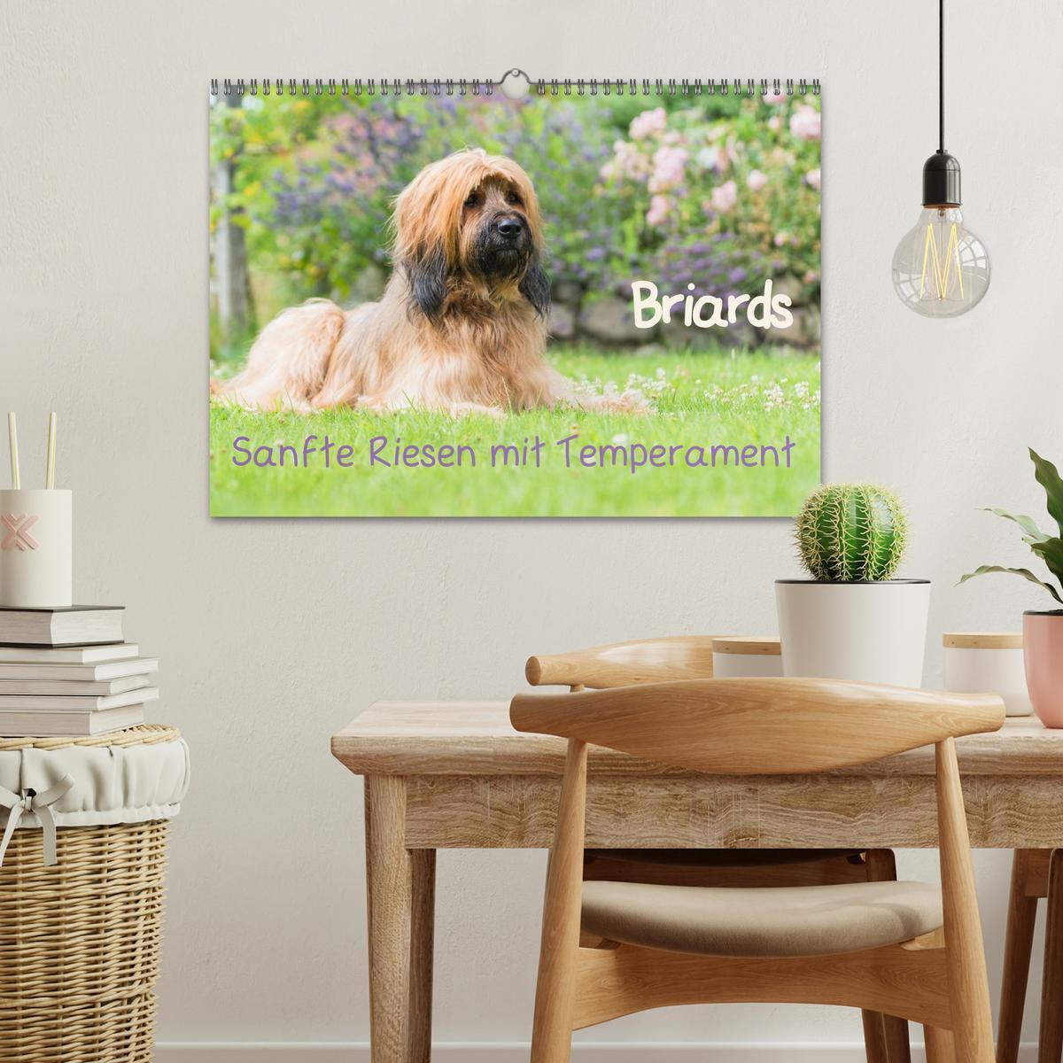 Bild: 9783435626809 | Briards - sanfte Riesen mit Temperament (Wandkalender 2025 DIN A3...