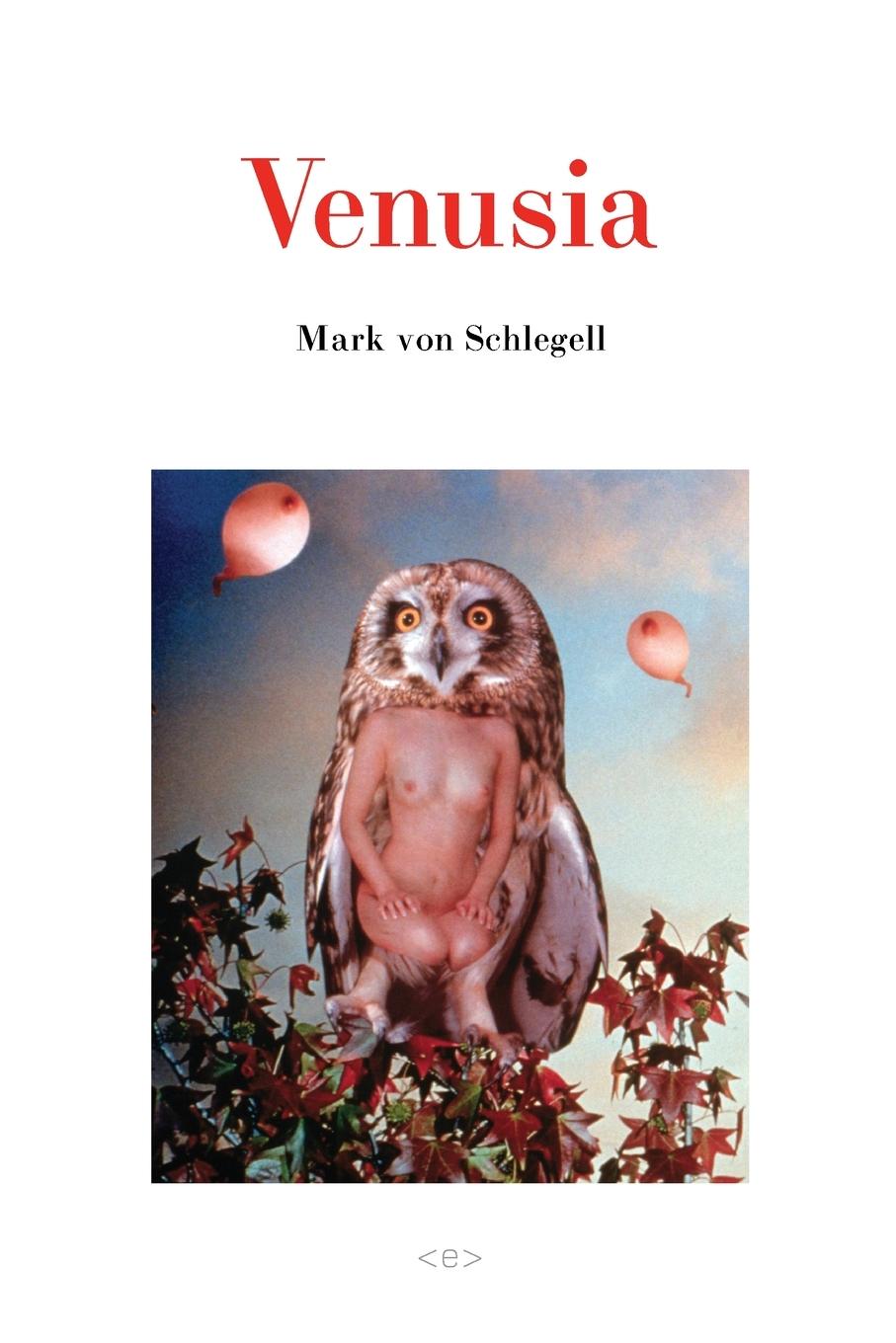 Cover: 9781584350262 | Venusia | Mark Von Schlegell | Taschenbuch | Englisch | 2005