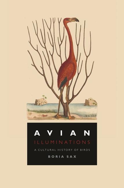 Cover: 9781789144321 | Avian Illuminations | A Cultural History of Birds | Boria Sax | Buch