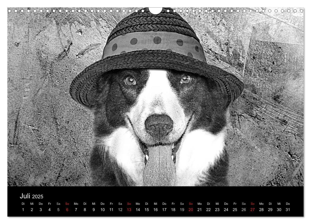 Bild: 9783435781096 | Hütehunde (Wandkalender 2025 DIN A3 quer), CALVENDO Monatskalender