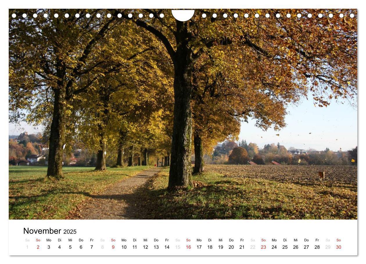 Bild: 9783435602643 | Der Ebersberger Forst und seine Umgebung (Wandkalender 2025 DIN A4...