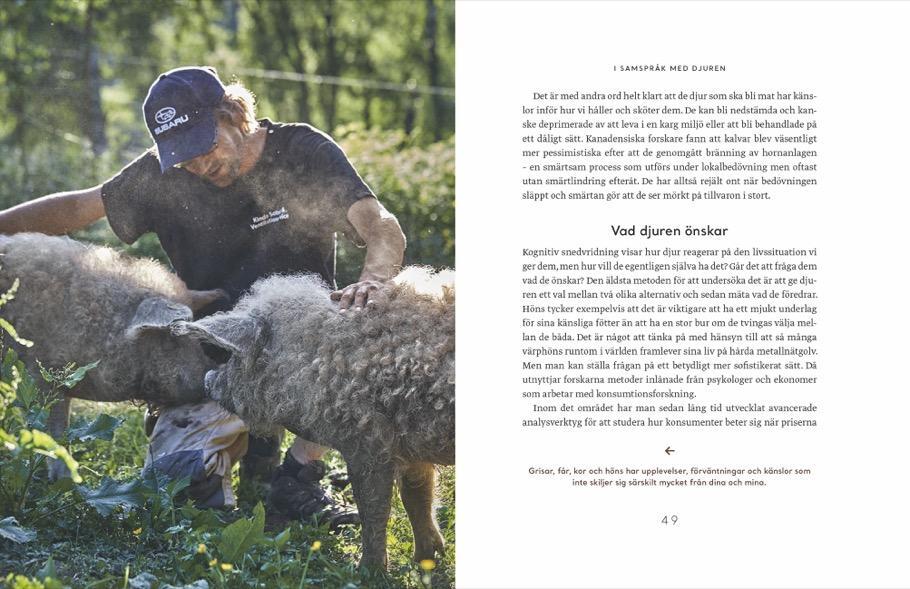 Bild: 9783866907614 | Wie Tiere fühlen | Per Jensen | Buch | Deutsch | 2021