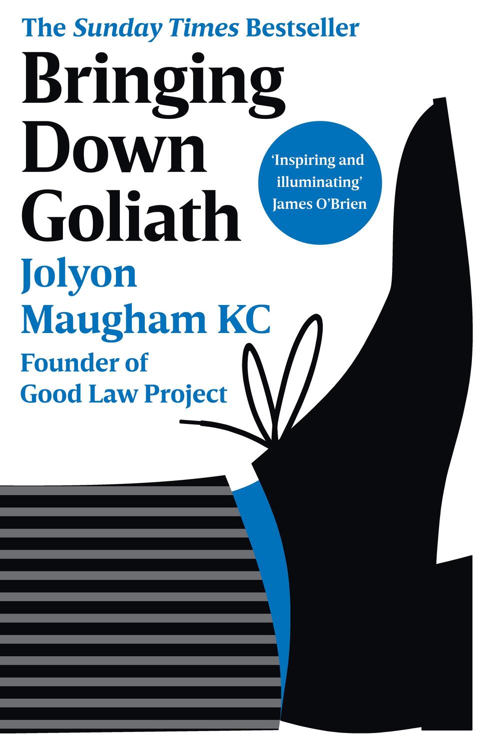 Cover: 9780753559789 | Bringing Down Goliath | How Good Law Can Topple the Powerful | Maugham