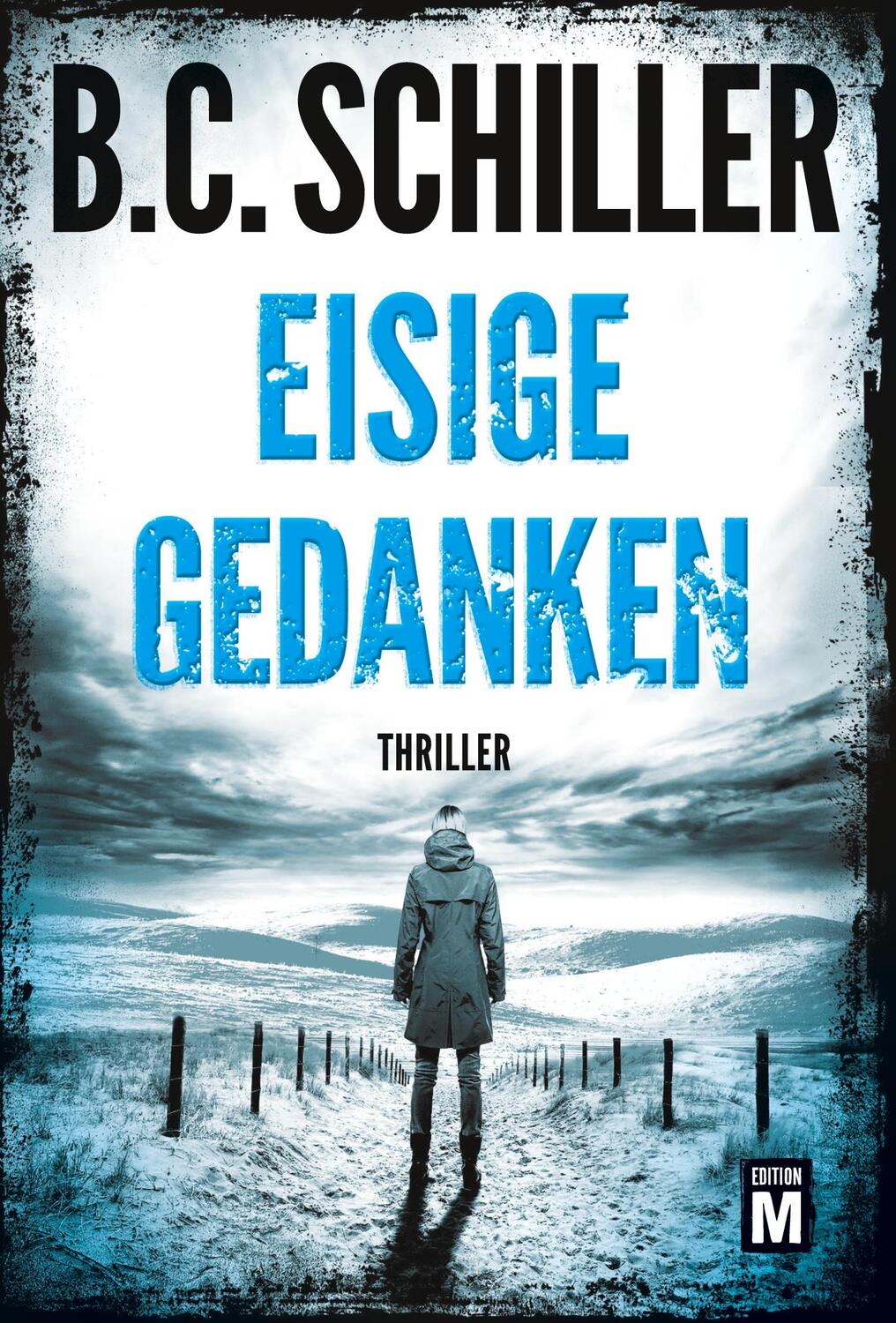 Cover: 9782496701739 | Eisige Gedanken | B. C. Schiller | Taschenbuch | David Stein | Deutsch