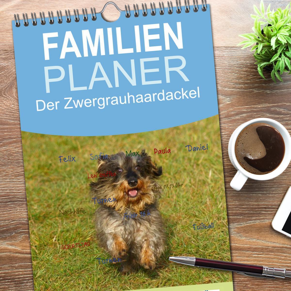 Bild: 9783457122099 | Familienplaner 2025 - Der Zwergrauhaardackel - Eigensinnig und...