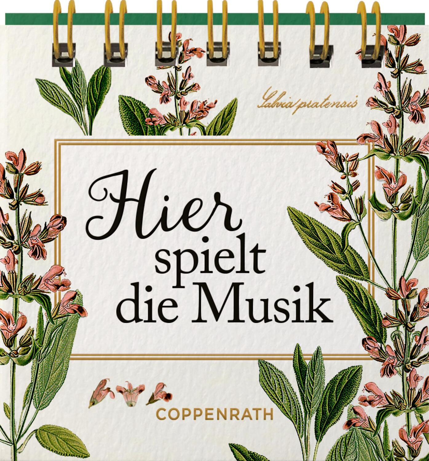 Bild: 9783649648321 | Hier spielt die Musik | Taschenbuch | 24 S. | Deutsch | 2024