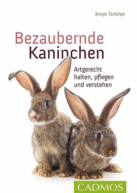 Cover: 9783840440236 | Bezaubernde Kaninchen | Artgerecht halten, pflegen und verstehen