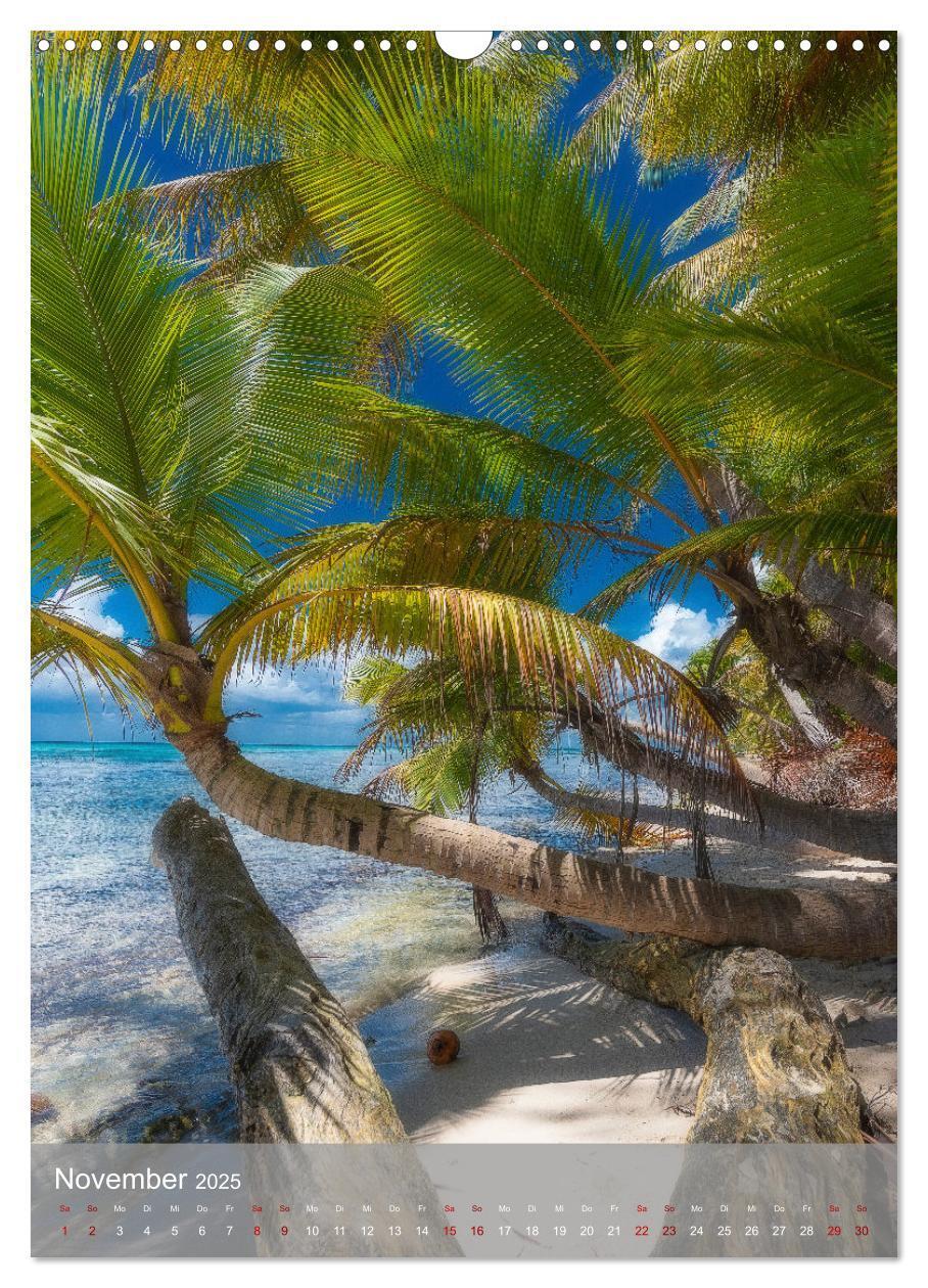 Bild: 9783435916153 | Karibischer Traum Isla Saona (Wandkalender 2025 DIN A3 hoch),...