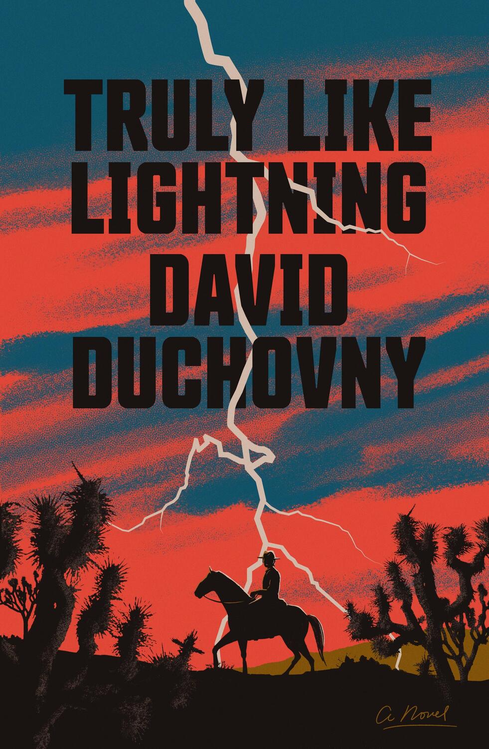 Cover: 9780374277741 | Truly Like Lightning | David Duchovny | Buch | 460 S. | Englisch