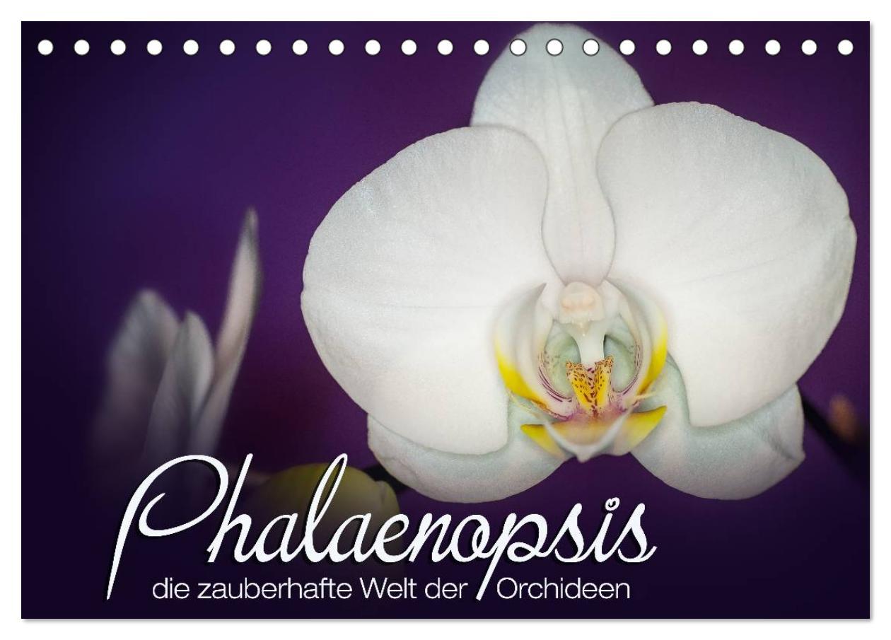 Cover: 9783435688425 | Phalaenopsis - die zauberhafte Welt der Orchideen (Tischkalender...