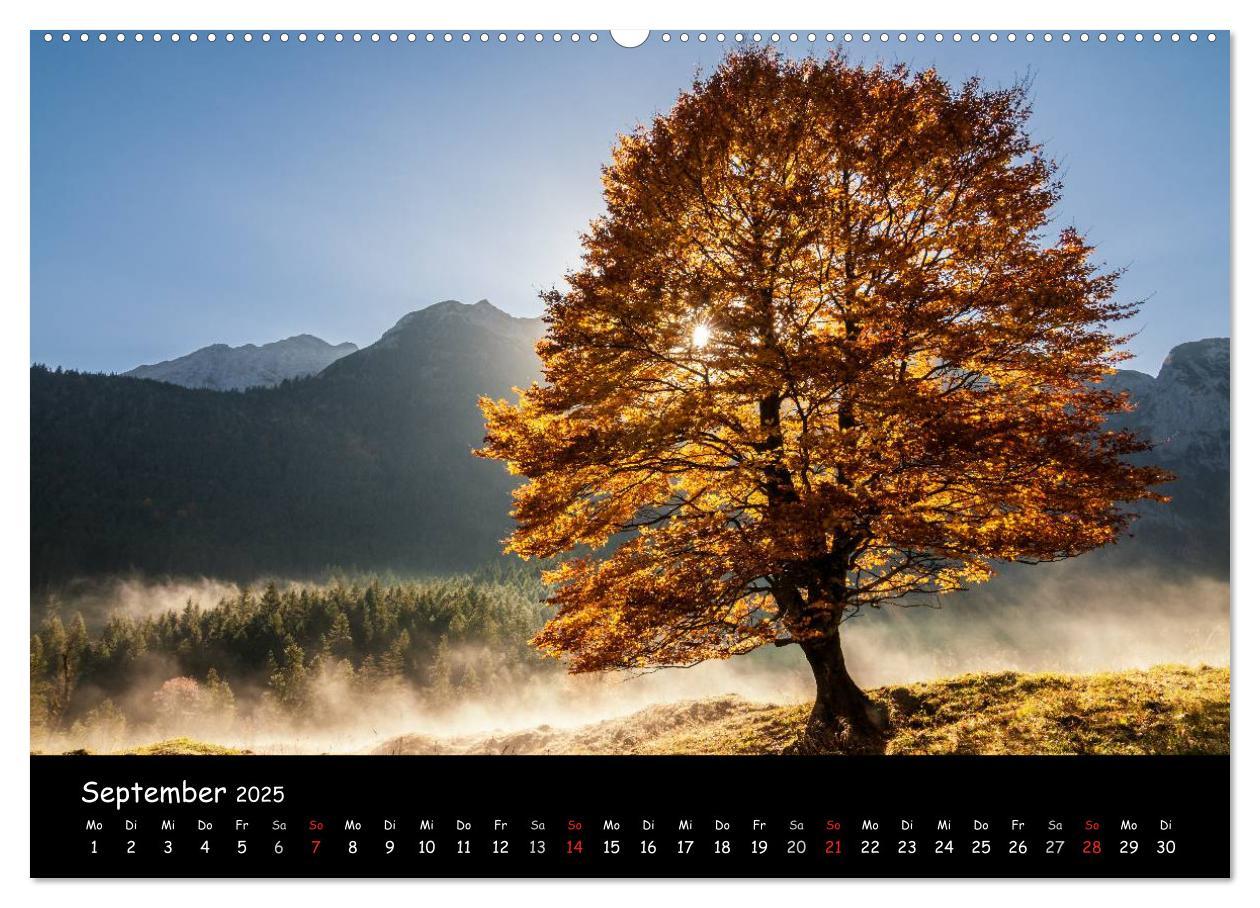 Bild: 9783435596553 | Faszination Morgenlicht (Wandkalender 2025 DIN A2 quer), CALVENDO...