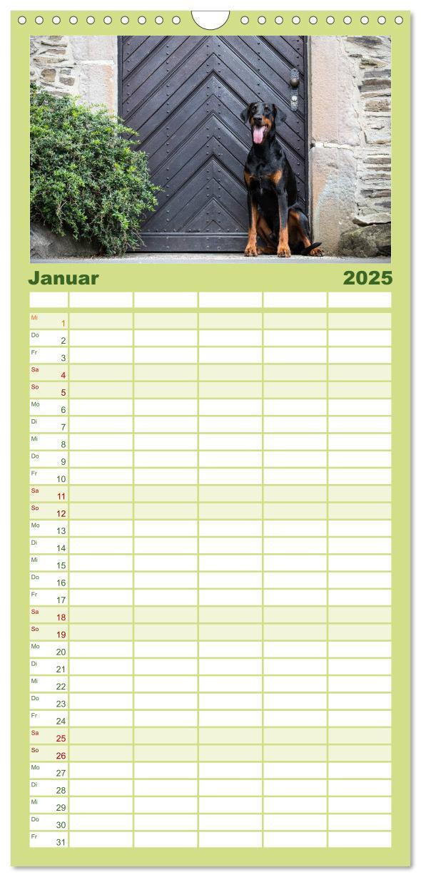 Bild: 9783457112137 | Familienplaner 2025 - Dobermann mit 5 Spalten (Wandkalender, 21 x...