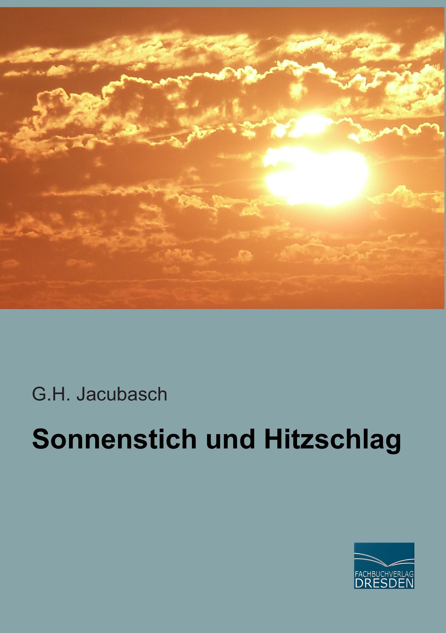 Cover: 9783956921384 | Sonnenstich und Hitzschlag | G. H. Jacubasch | Taschenbuch | Paperback