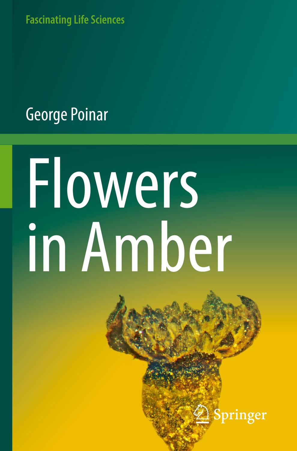 Cover: 9783031090462 | Flowers in Amber | George Poinar | Taschenbuch | Paperback | xv | 2023