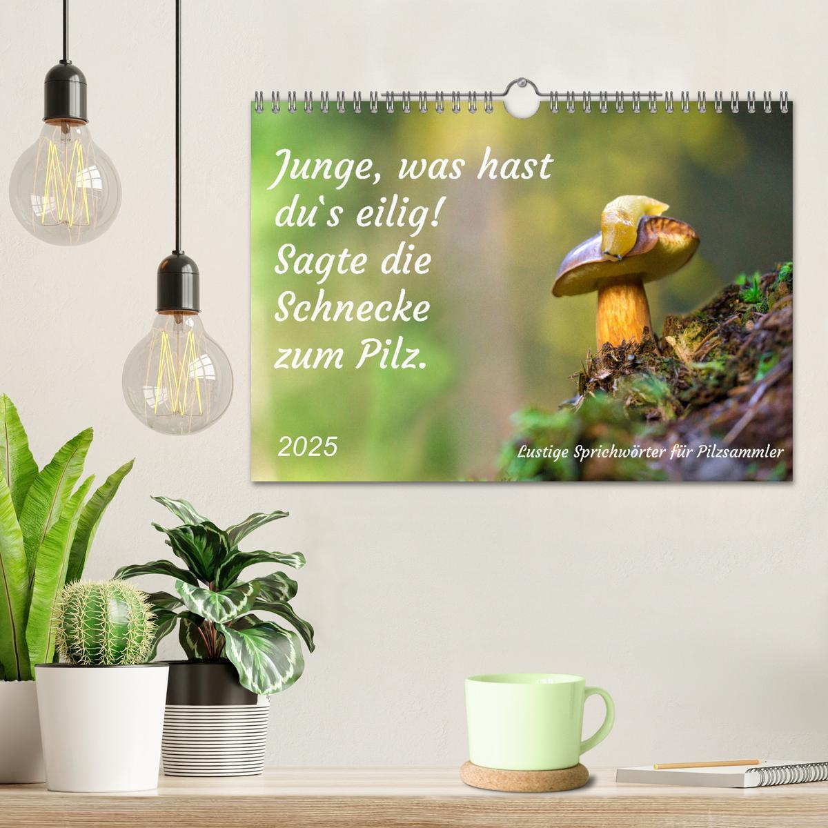 Bild: 9783435128280 | Junge, was hast du`s eilig (Wandkalender 2025 DIN A4 quer),...