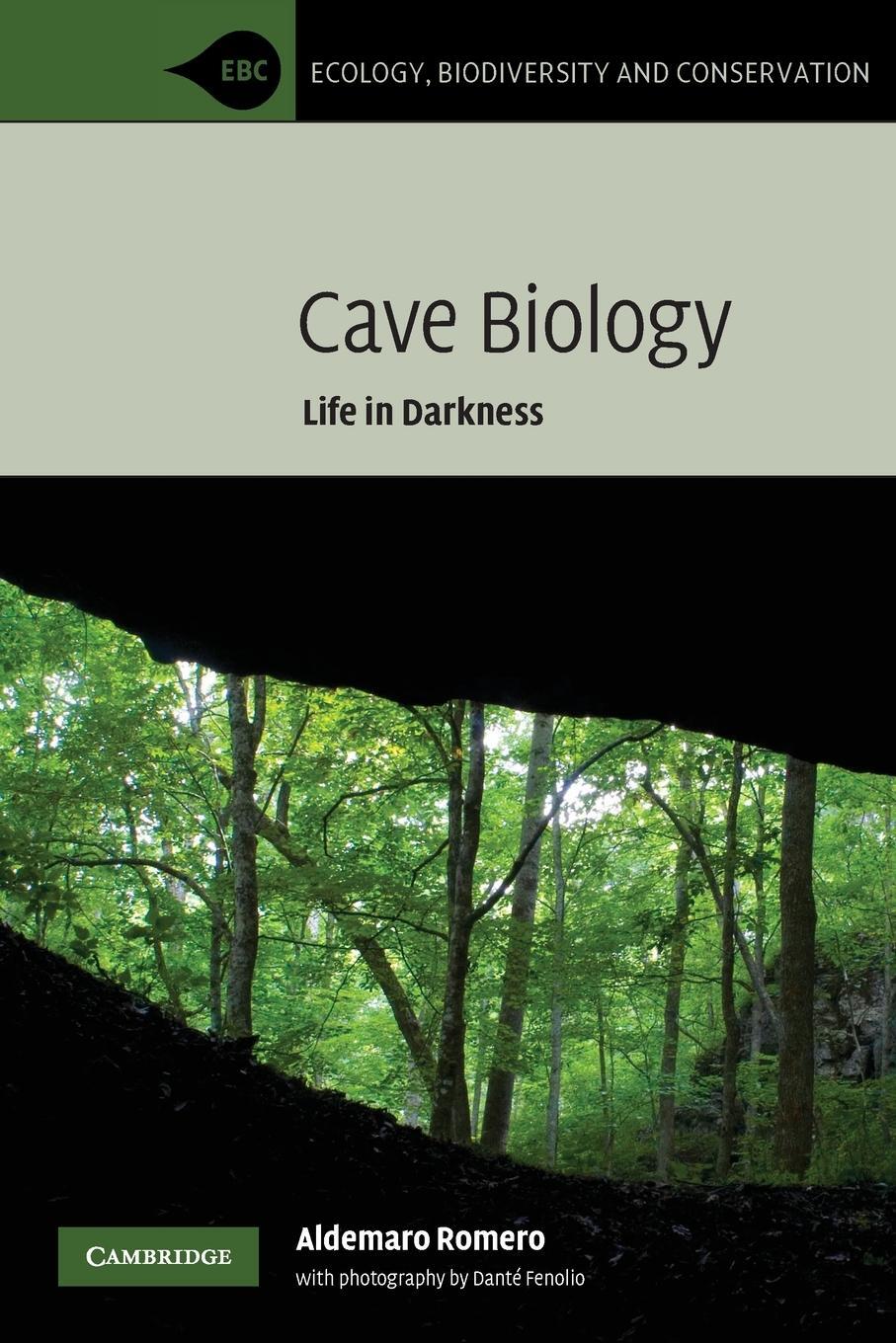Cover: 9780521535533 | Cave Biology | Aldemaro Romero | Taschenbuch | Paperback | Englisch