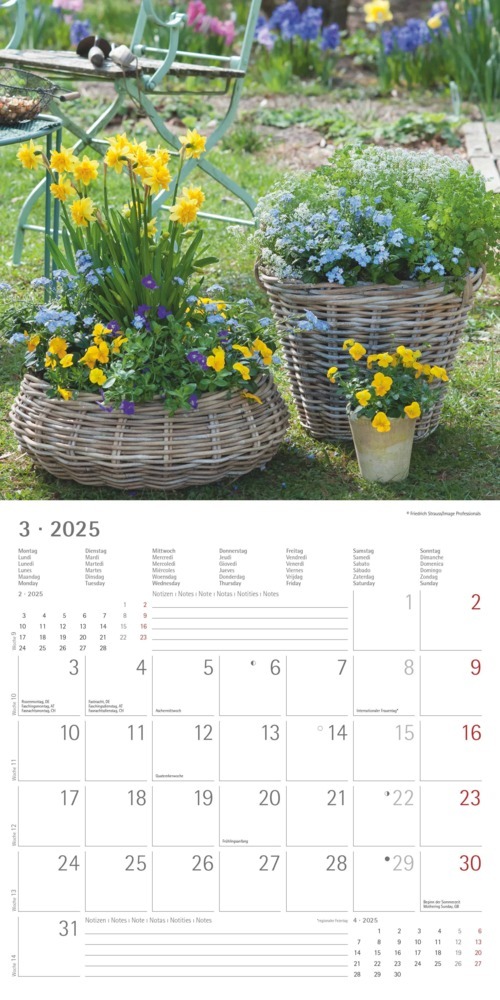 Bild: 4251732340636 | Alpha Edition - Garden &amp; Decoration 2025 Broschürenkalender,...