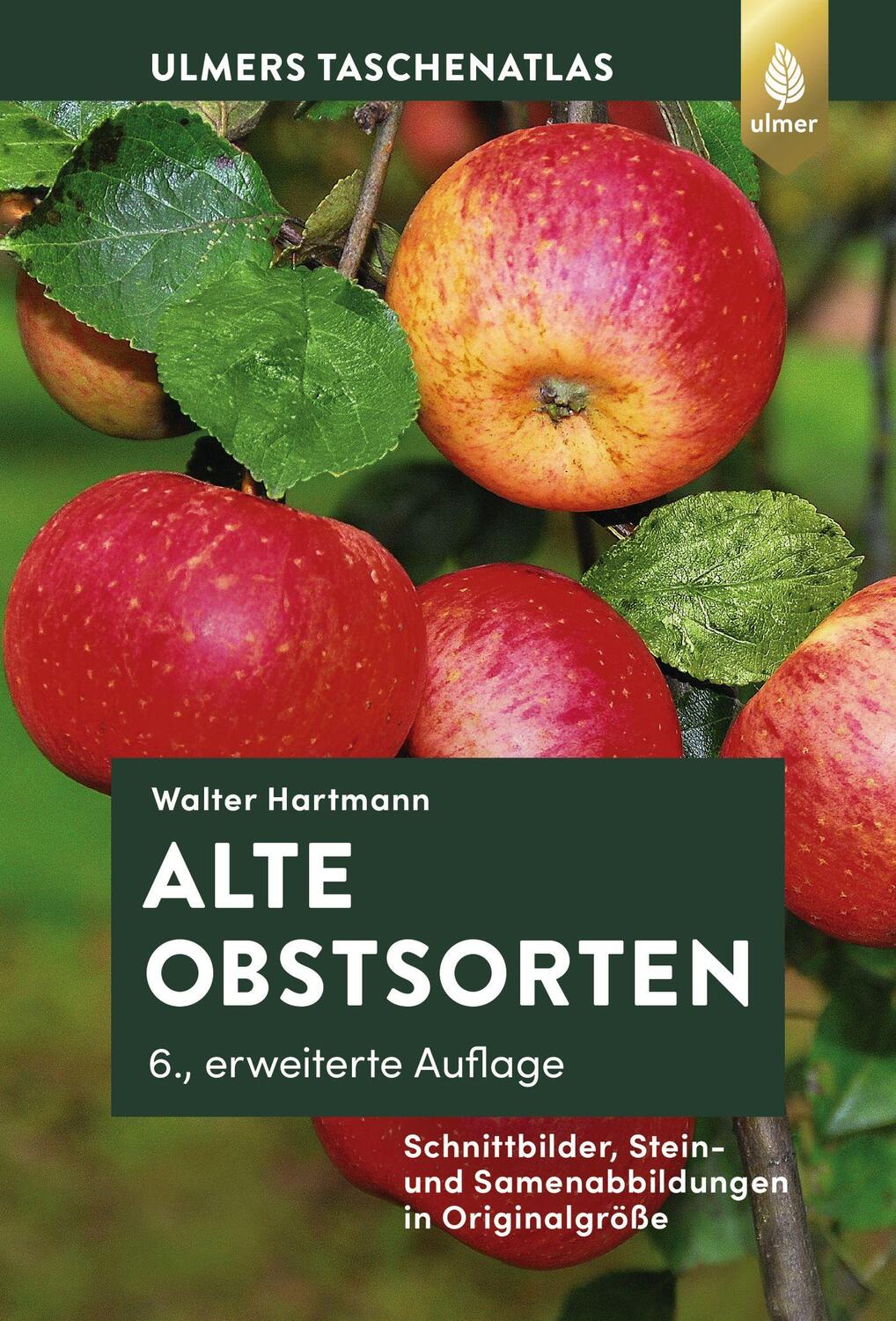 Cover: 9783818609535 | Alte Obstsorten | Walter Hartmann | Buch | Deutsch | 2020