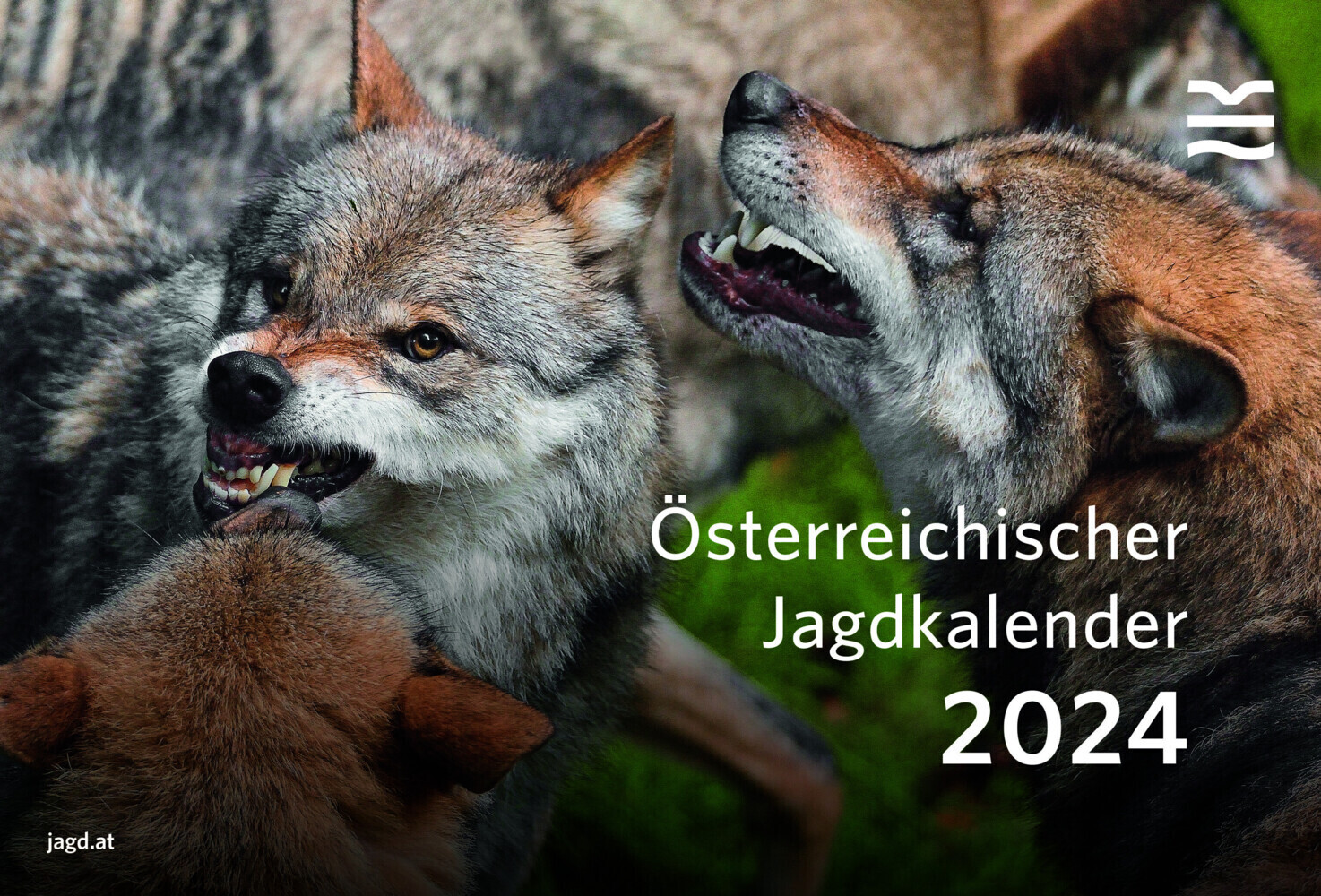 Cover: 9783852081793 | Österreichischer Jagdkalender 2024 | Fischerei-Verlag | Taschenbuch