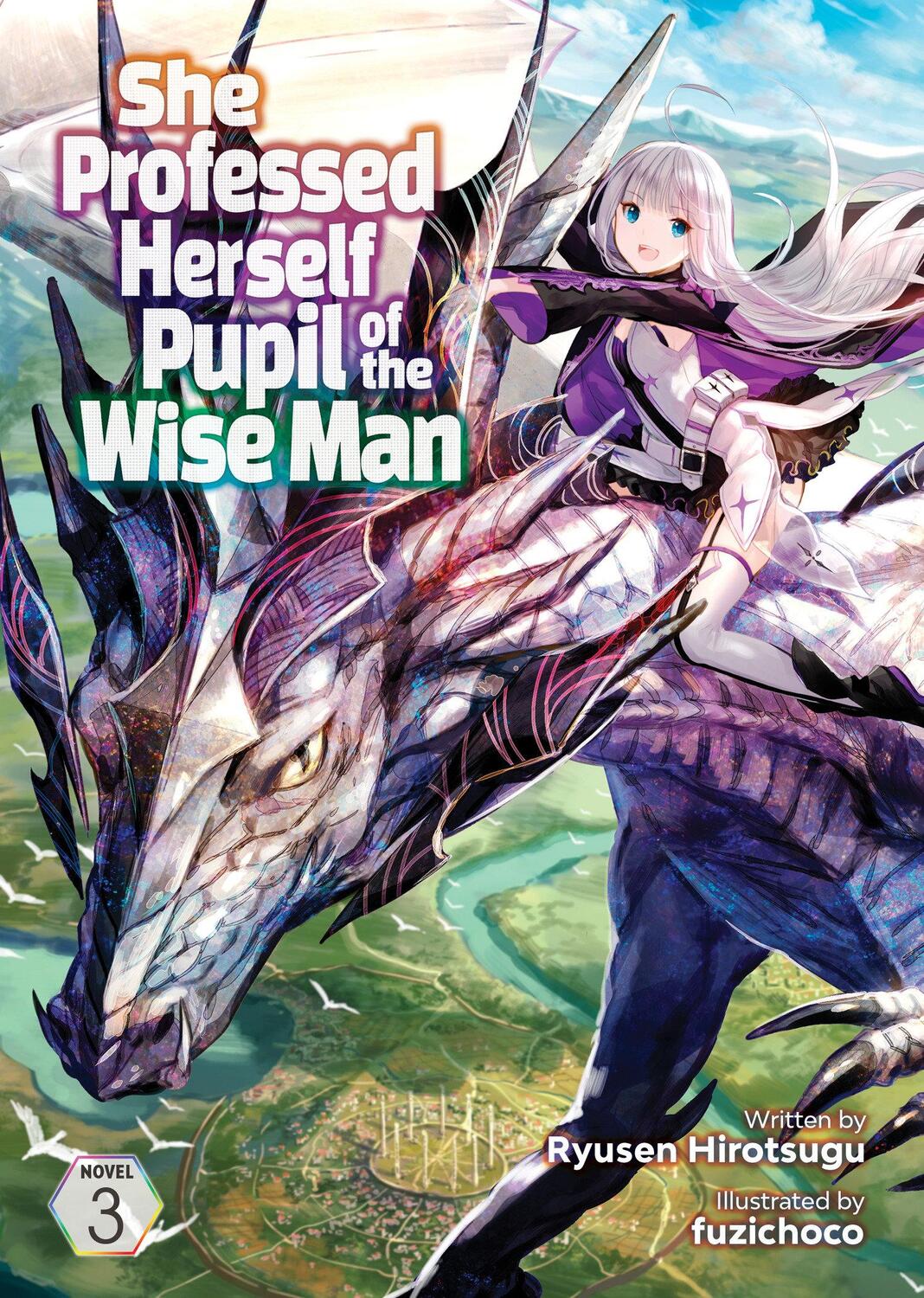 Cover: 9781648274497 | She Professed Herself Pupil of the Wise Man (Light Novel) Vol. 3